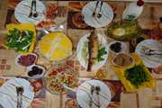 توجه ویژه به سلامت غذا از مزرعه تا سفره 